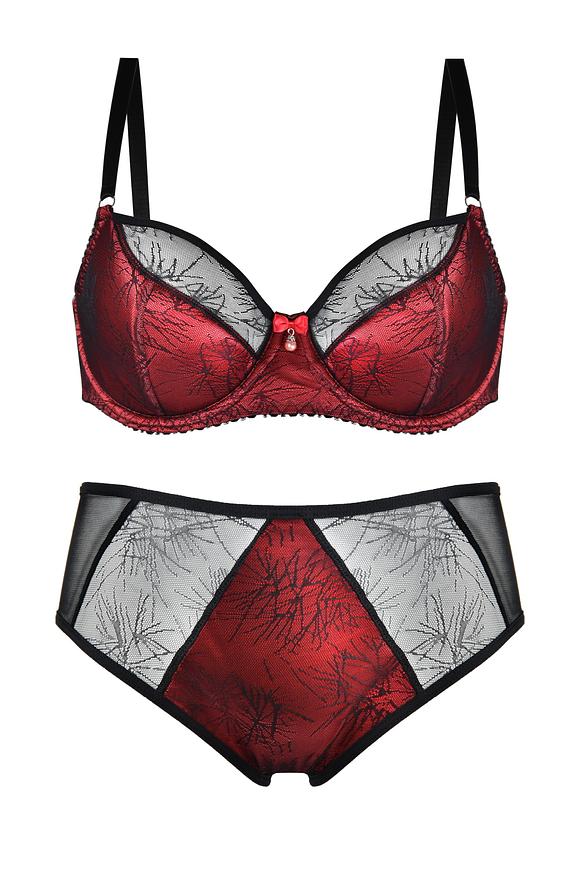Biustonosz półusztywniony.
Miseczki wykonanane z wzorzystej siateczki, dół wzmocniony pianką w czerwonym kolorze.
Biustonosz świetnie podtrzymuje biust, zbiera piersi do środka pięknie eksponując dekolt.
Skład surowcowy: 80% Poliamid, 20% Elastan.
 